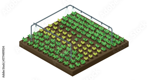 Isometric garden with irrigation system and vegetables in neat rows