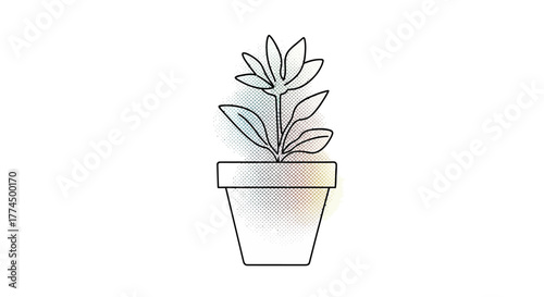 Elegant flower in a pot simple line art white background.