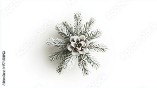 Pine Cone on Snow-Covered Pine Branch with 12 Needles Isolated on White Background