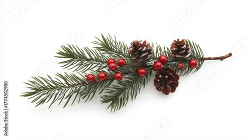 Pine Tree Branch with three Cones Isolated on White Background