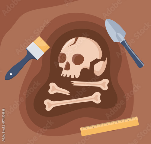 Adobe Illustrator Artwork