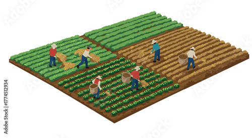 Farmers harvesting on isometric farmland with crops and vegetables