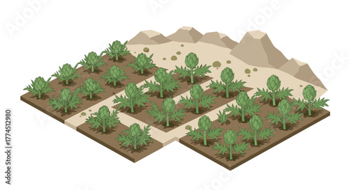 Isometric artichoke field with desert landscape and greenery
