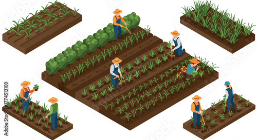 Isometric farming scene with farmers working on vegetable and crop plots
