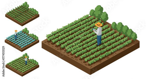 Isometric farm field with farmer checking crops in various stages of growth