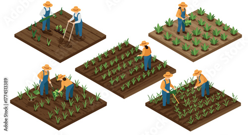 Isometric farming scenes featuring farmers caring for crops on field plots