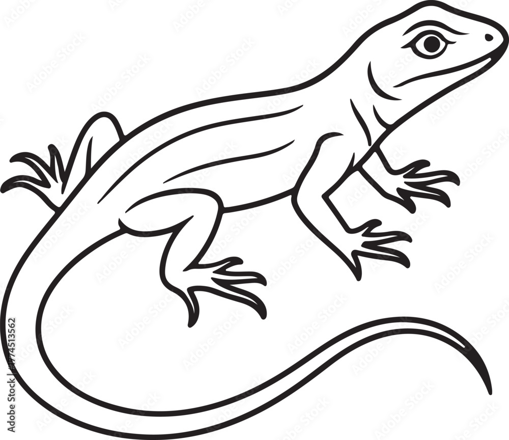 Obraz premium line art lizard animal vector
