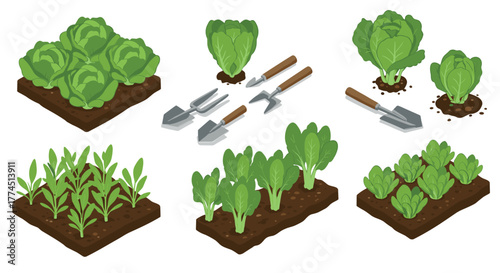 Isometric garden set with vegetables, tools, and soil beds perfect for urban…