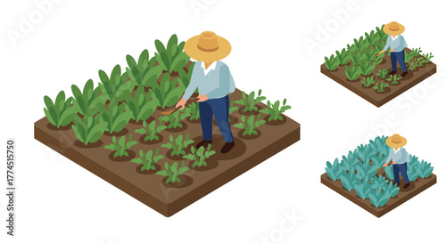 Isometric urban gardening concept with farmer planting and watering vegetables