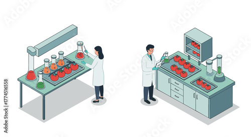 Scientists conduct experiments with tomatoes in modern laboratory setting
