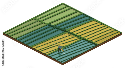Isometric farming scene with farmer in rice paddies and fields