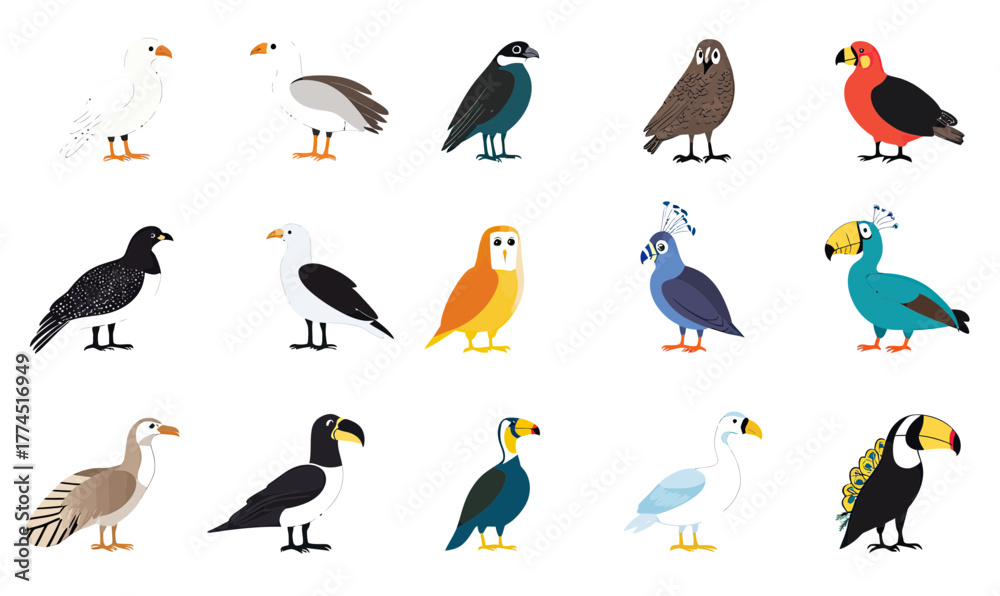 Obraz premium Flat minimalist vector illustration of diverse bird species icons including gull, crow, owl, toucan, peacock, falcon, puffin with colorful clean design on white background