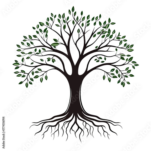 Vector illustration of stylized tree with detailed roots and green leaves isolated on white background in minimalist flat design style for nature and growth concepts