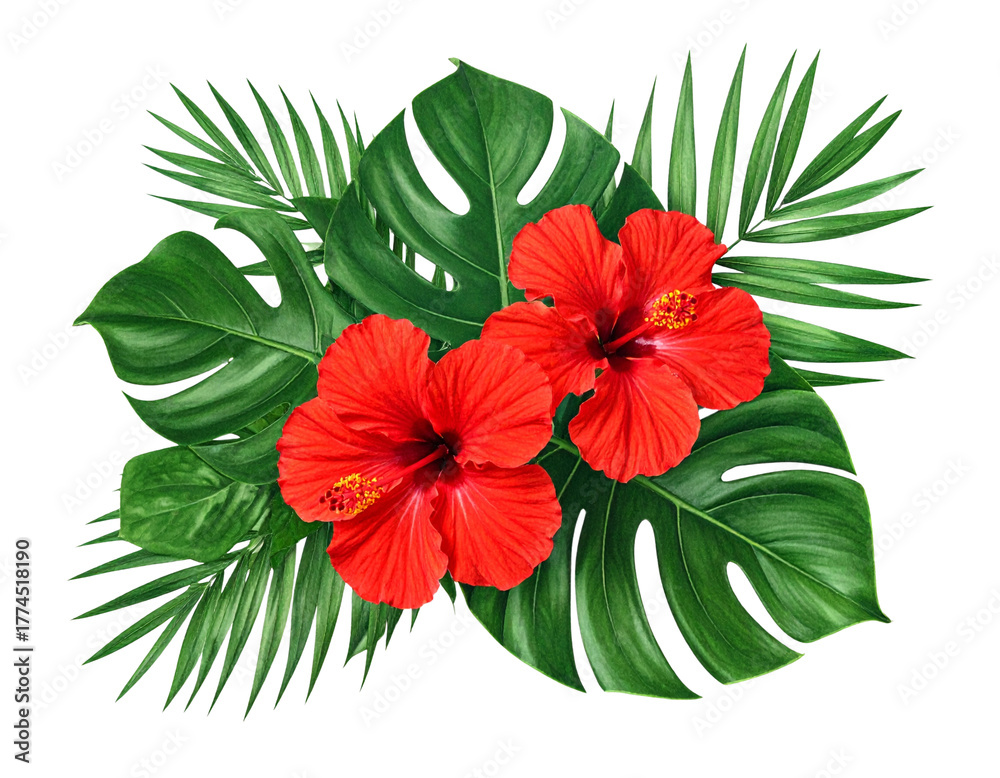 Obraz premium Tropical Composition with Two Red Hibiscus Flowers and Monstera Leaves, Isolated on Transparent Background