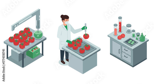 Scientist conducting tomato experiment in modern laboratory setting