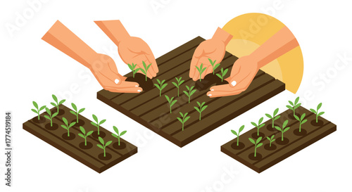 Hands planting seedlings in isometric garden beds with sunlit background