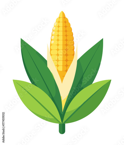 Kolba kukurydzy ilustracja