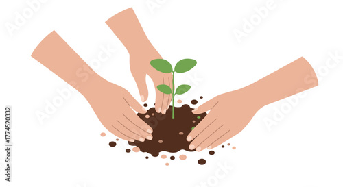 Nurturing growth together: hands planting a seedling in soil