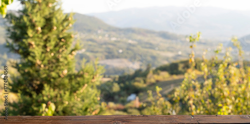 Empty Wooden Table Top with Blurred Nature Background