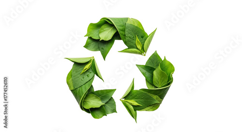 Recycling symbol made of green leaves on transparent background, sustainability