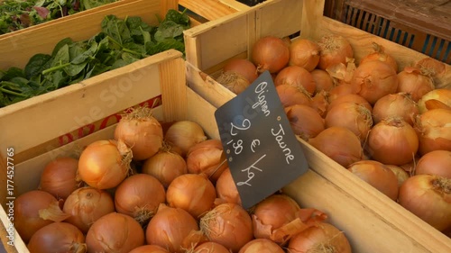 Fresh Yellow Onions for Sale at Provencal Farmers Market