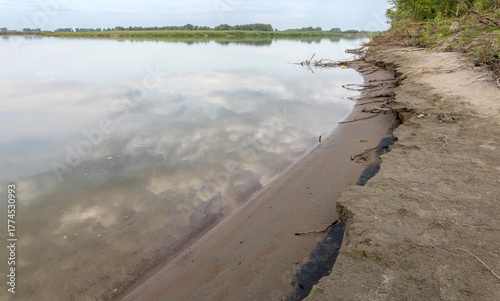 a river bank with sand and tree roots
