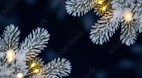 Snowy Pine Branches with Christmas Lights
