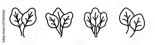 Vector illustration of fresh baby spinach leaves healthy food graphic