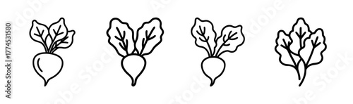 Fresh beet greens illustration healthy food vector graphic