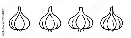 Garlic bulb vector graphic art food ingredient freshness seasoning healthy