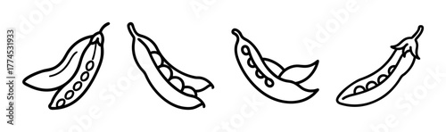 Green bean vector illustration simple icon scalable graphic food vegetable