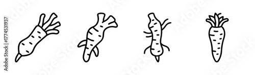 Stylized vector illustration of a horseradish root