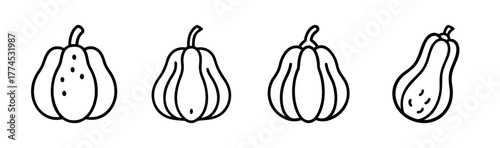 Acorn squash vector illustration scalable graphic icon