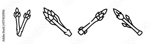 Single green asparagus spear vector illustration fresh vegetable food icon