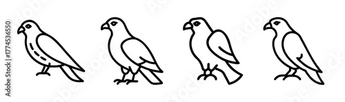 Stylized vector falcon illustration for scalable graphic design