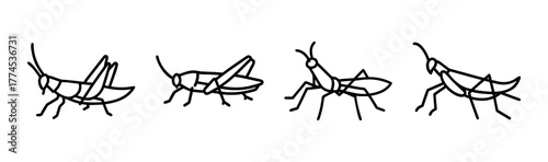 Vector illustration of a grasshopper insect icon for nature and biology