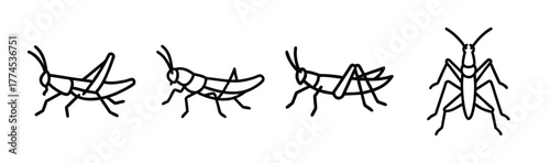Vector illustration of a grasshopper insect icon