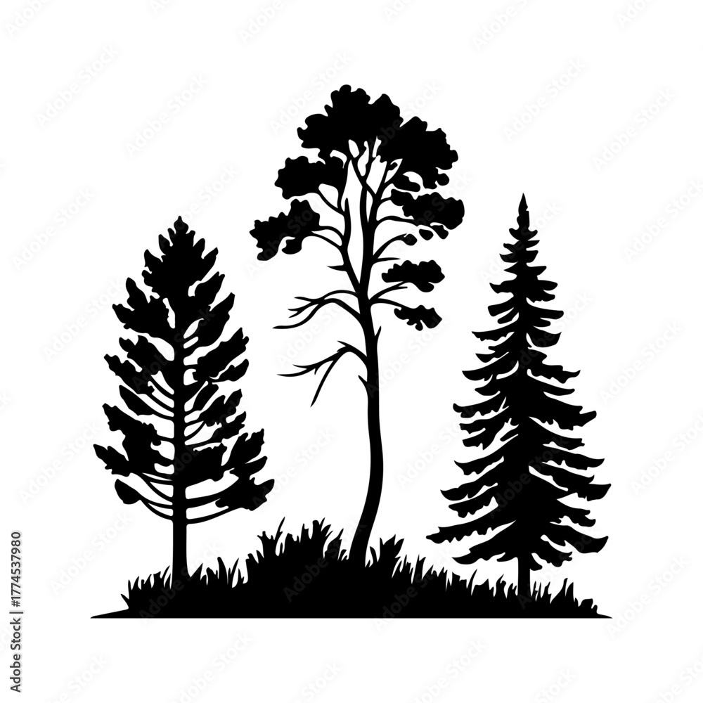 Obraz premium Black Pine Tree Trio Silhouette with Forest Grass Vector Illustration