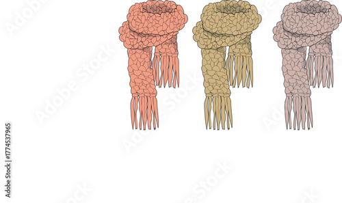 Warmth and Style An Array of Cozy Scarves for Winter Fashion