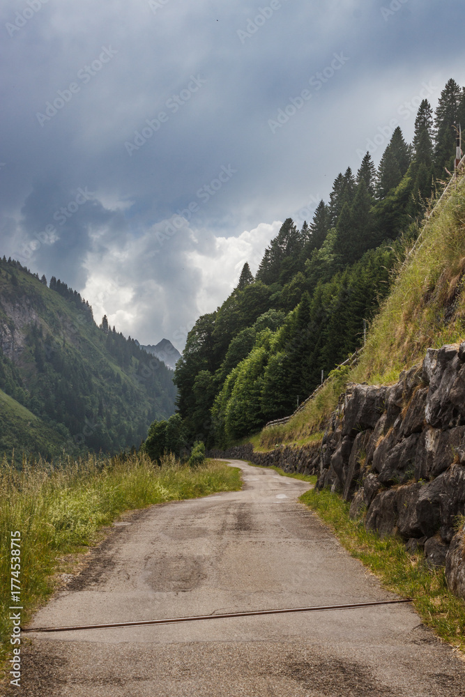 Fototapeta premium mountain road in the mountains