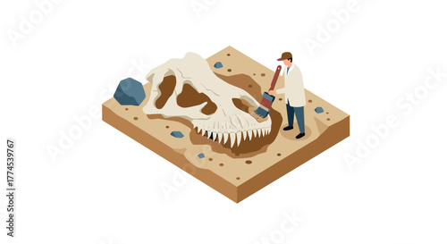 Archaeologist uncovers dinosaur skull on dig site in isometric design