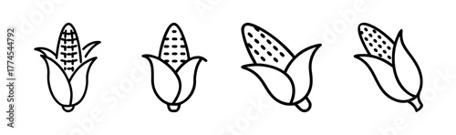 Four stylized corn cobs with husks a charming botanical sketch collection
