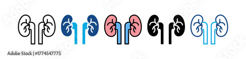 Nephrology multiple icon
