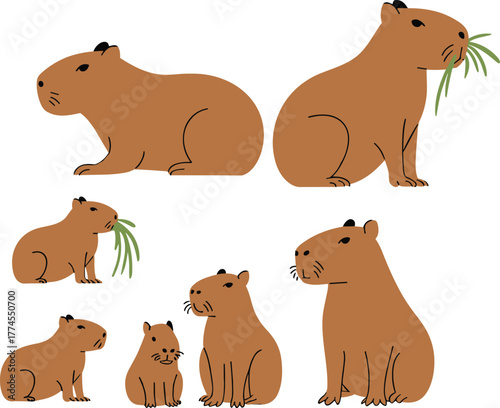 Cute family of capybaras sitting and eating grass, wildlife animal illustration, adorable rodent characters in flat cartoon vector style