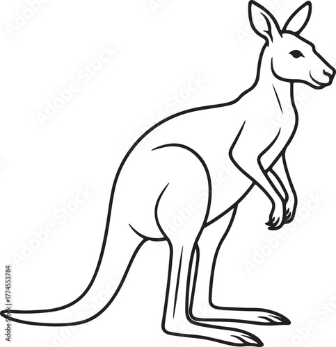 line art cangaroo animal vector