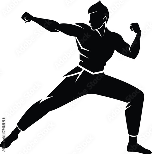Silhouette of a martial artist in a fighting stance
