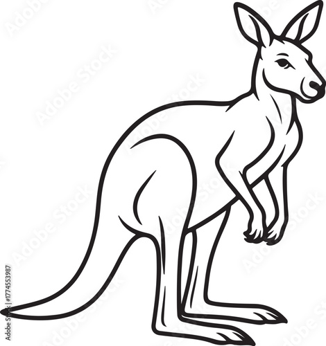 line art cangaroo animal vector
