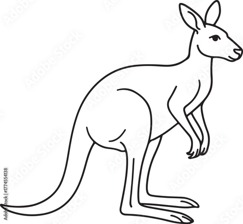 line art cangaroo animal vector
