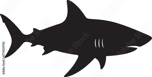 Silhouette shark transparent