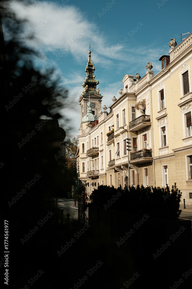 Naklejka premium Two shepherd dogs - Australian and German joyfully play and splash in a clear mountain river surrounded by rocks and forest greenery. Vertical 4k footage. Georgia country